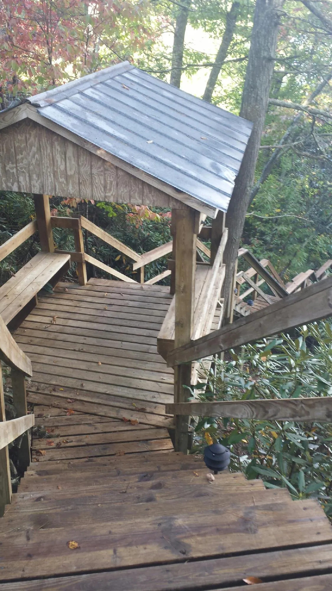 Metal roofed shelter over wooden steps on a wooded walkway — Skylight Repair & Installation work by our crew in Gulf Breeze